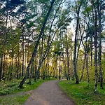 Exclusive Baltic - Forest And Park Views By Polandbnb Daire Gdansk