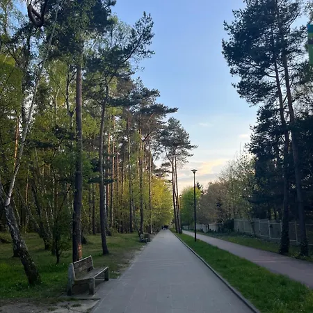 Апартаменты Exclusive Baltic Forest Park View By Polandbnb *