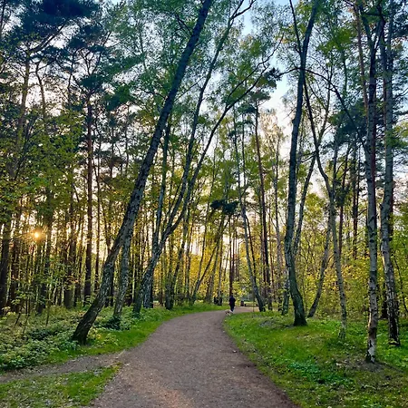 Exclusive Baltic Forest Park View By Polandbnb Апартаменты Гданьск