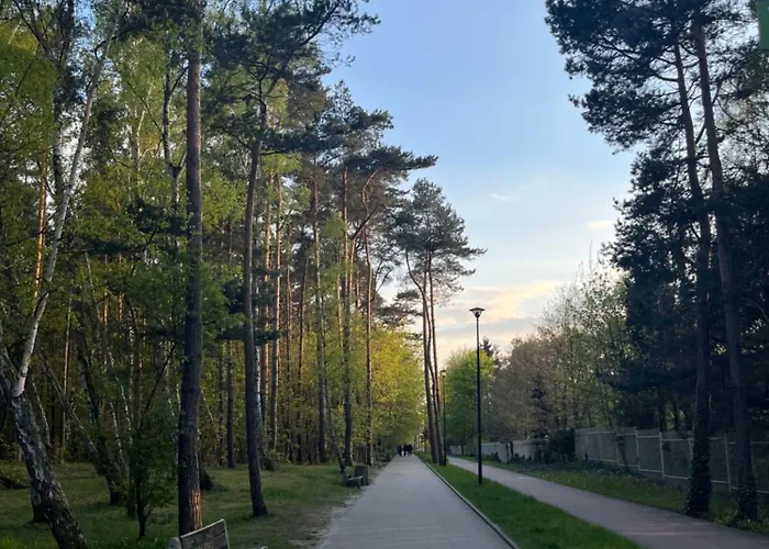 Lejlighed Exclusive Baltic Forest Park View By Polandbnb *