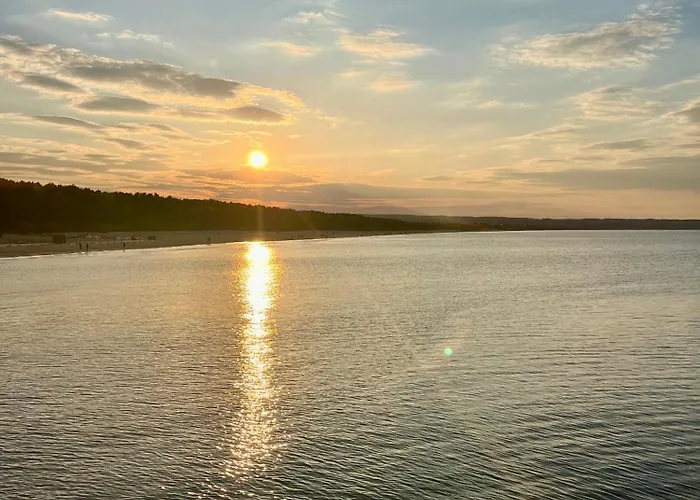 Exclusive Baltic Forest Park View By Polandbnb Lejlighed *