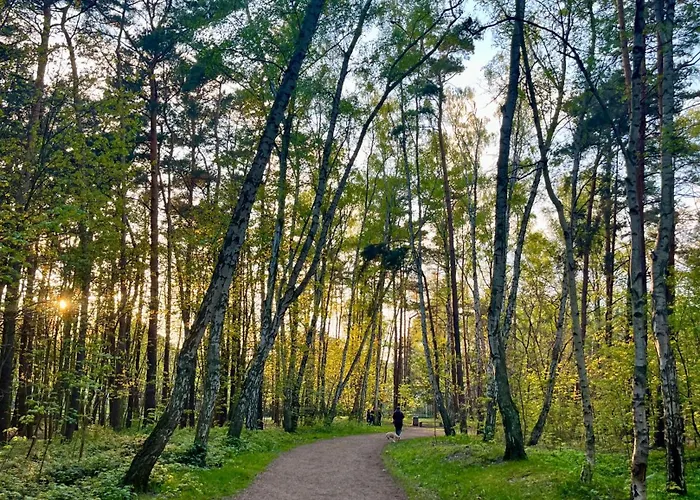 Exclusive Baltic Forest Park View By Polandbnb Apartman Gdańsk